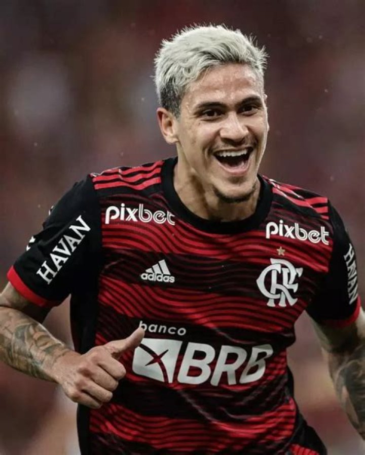 All About Pedro Guilherme | Net Worth, Career, Bio, Age